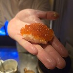 初音鮨 - いくら