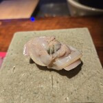 初音鮨 - 蛤(鹿島)