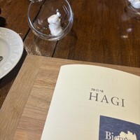 HAGI - 