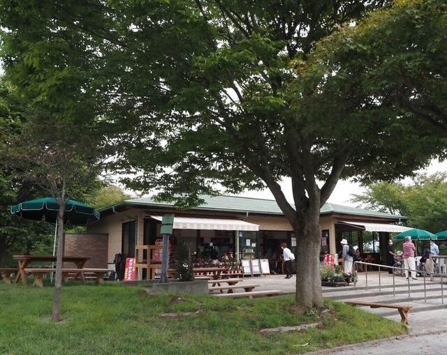 川西ダリヤ園 - 羽前小松（食堂）の写真