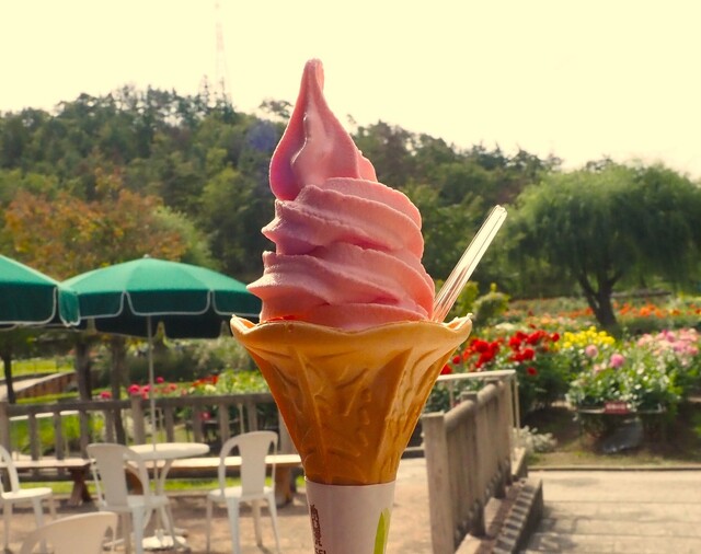 川西ダリヤ園 羽前小松 食堂 &ndash; 山形の家庭料理と温かいおもてなし