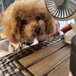 クッチーナ デル カンポ - めっちゃ見てるｗ