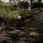 ららららーめんや - 何年間かここにあった不法投棄っぽいちょいと品の良い朽ちかけた森のベンチは、完全に朽ちてしまって市の手で撤去されたのだろうか^_^