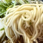 ニボシの恵 - あっさりネギだけらーめん+味玉