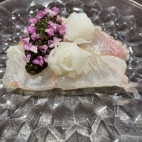イル アオヤマ - 