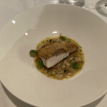 ヴァンサンク・ブランシュ - 