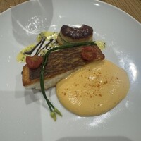 Loiseau de France - 