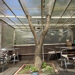 森の中の小さなCafe Berry - 