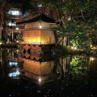 浮月楼 - 