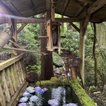 日本料理 落柿 - 