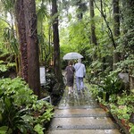 日本料理 落柿 - 