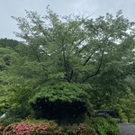 日本料理 落柿 - 