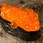 回転寿司 旬花 - 