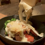 CHEESE KITCHEN RACLER - 