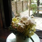 グラデボーレ・アルバ - 