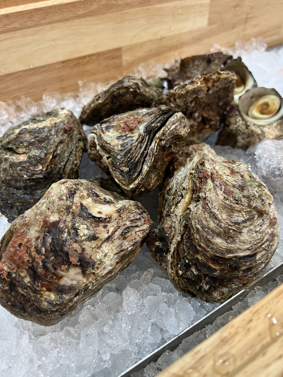 Robata Sumibiyaki En