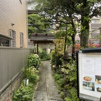 古月 - 