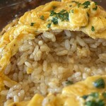 サチア ビーフストロガノフ - バターライス