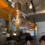 サチア ビーフストロガノフ - 電球にもこだわりがあり暖かい感じが良いね