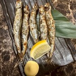 旨いマグロと海鮮居酒屋 漁火 - 