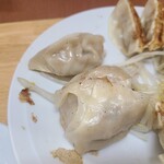 大福 - 餃子とげんこつ餃子の大きさの違い