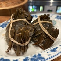 紅梅本楼 -  紅梅本楼 -
