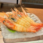 炭焼き屋 こもれ火 - 