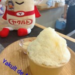 奈良ヤクルトアンテナショップ - 