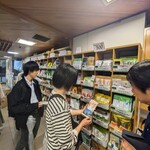 しずチカ茶店 一茶 - 