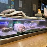 すしハウス昔ばなし - 
