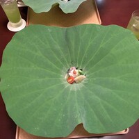 銀座 小十 - 