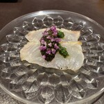 イル アオヤマ - 