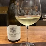 イル アオヤマ - 