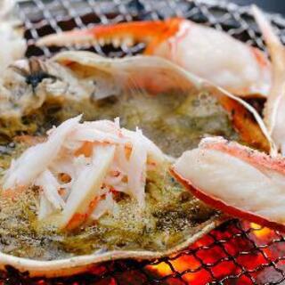 敦賀さざなみリゾート ちょうべい_1