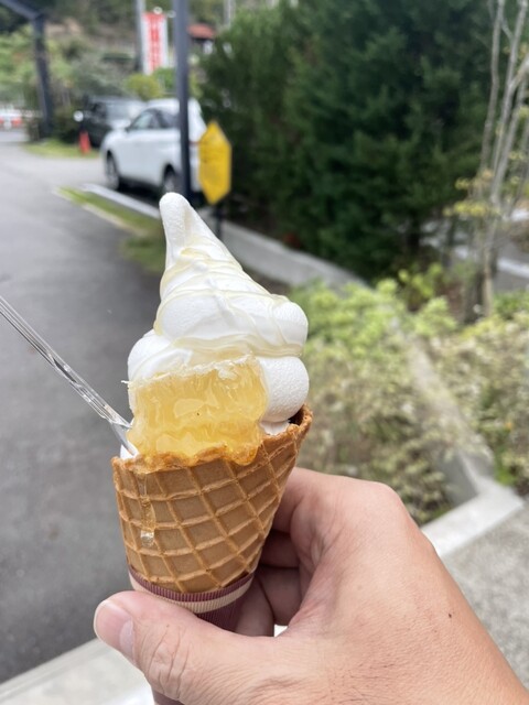 みつばちコーンアイス 蜂 チューリップ 鈴蘭 たくさんのハチミツ』by サラ1022 : 神戸養蜂場 - 北鈴蘭台