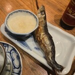 夜ノ焼魚 ちょーちょむすび - 