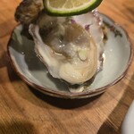 夜ノ焼魚 ちょーちょむすび - 