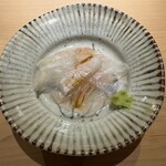 佐野鮨 - ひらめ昆布締め　◎◎
      凝縮した旨みの一品目、口に入れた瞬間にぐっと気持ちを掴まれる