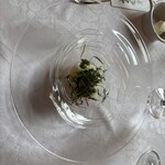 マダム・トキ - 