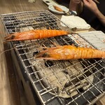 博多炉端 野が海 - 