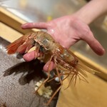 おたる政寿司 - 