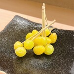 割烹 白鷹 - 新銀杏です。この苦味が大人の味、グフッ\(//∇//)\