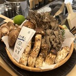 割烹 白鷹 - 中国山地で採れた松茸。こちらには熊は居ないので、松茸採りも安心して出来るのかな？