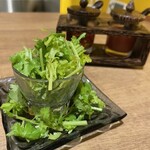 ガーサローン - 