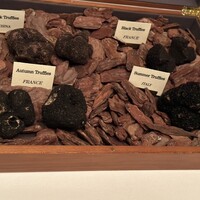 Terres de Truffes, Tokyo - 