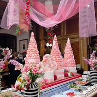 スプレンディード - 