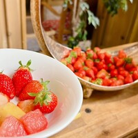 スプレンディード - 