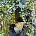 チョップ キャンプ - 