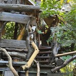 チョップ キャンプ - 席はこの上のツリーハウス