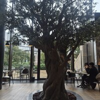 ジャヌ メルカート - 